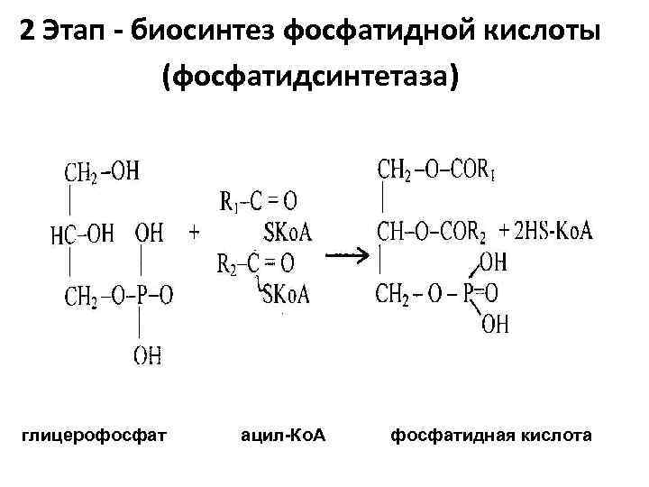 Дайте характеристику фосфорной кислоты по плану а формула