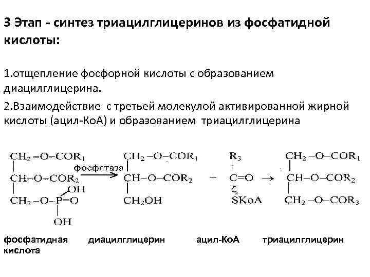 Дайте характеристику фосфорной кислоты по плану