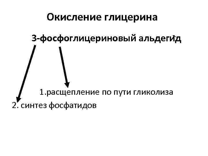   Окисление глицерина 3 -фосфоглицериновый альдегид  1. расщепление по пути гликолиза 2.
