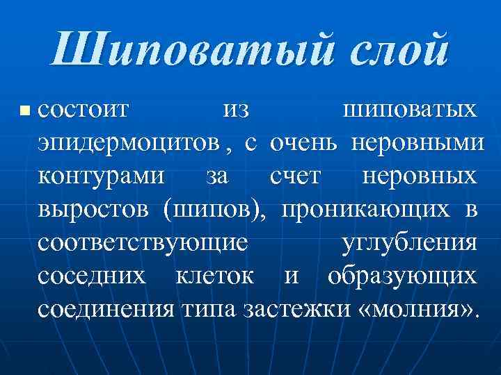   Шиповатый слой n  состоит  из  шиповатых эпидермоцитов , с