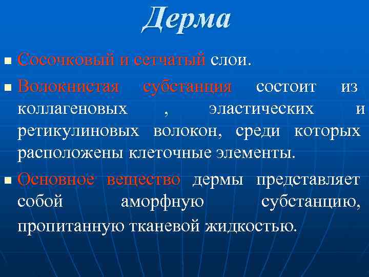     Дерма n Cосочковый и сетчатый слои. n Волокнистая  субстанция