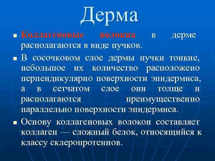     Дерма n  Коллагеновые волокна  в  дерме располагаются