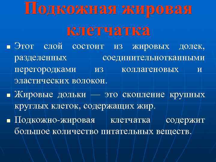  Подкожная жировая  клетчатка n  Этот слой состоит из жировых долек, разделенных