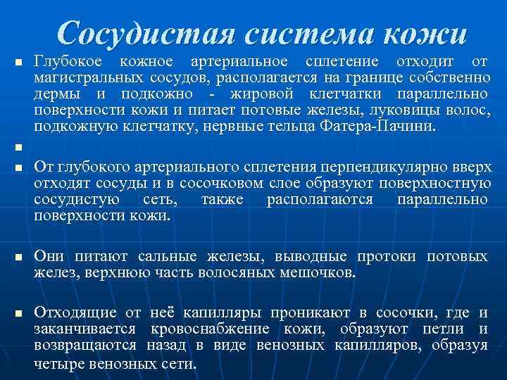  Сосудистая система кожи n  Глубокое кожное артериальное сплетение отходит от магистральных сосудов,