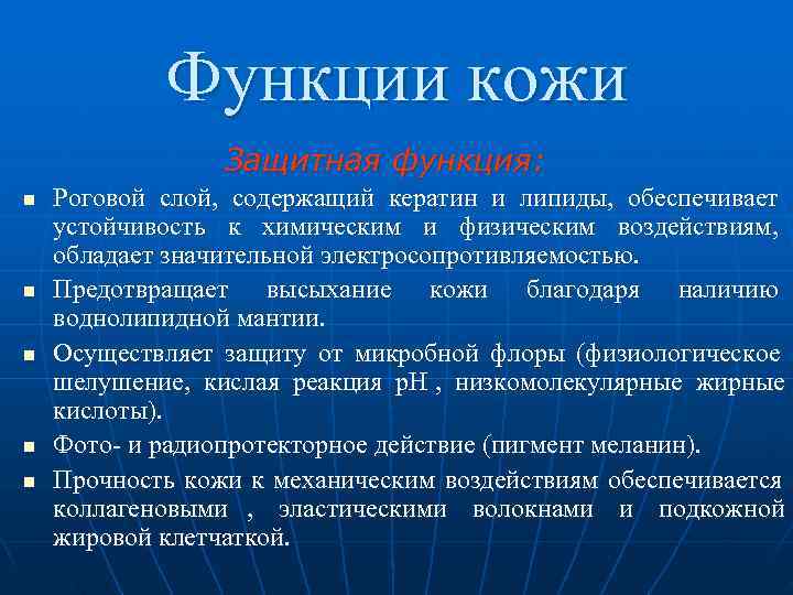   Функции кожи   Защитная функция: n  Роговой слой, содержащий кератин