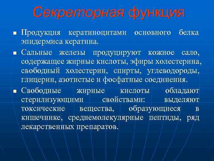  Секреторная функция n  Продукция кератиноцитами основного белка эпидермиса кератина. n  Сальные