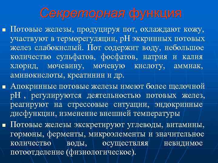   Секреторная функция n  Потовые железы, продуцируя пот, охлаждают кожу, участвуют в