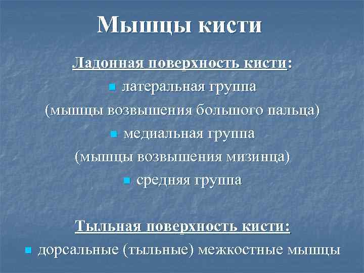   Мышцы кисти  Ладонная поверхность кисти:   n латеральная группа (мышцы