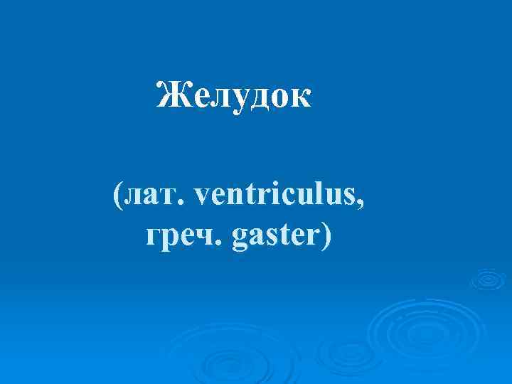   Желудок (лат. ventriculus,  греч. gaster) 