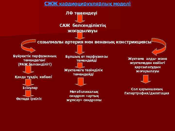    СЖЖ кардиоциркулярлық моделі      ЛФ төмендеуі 