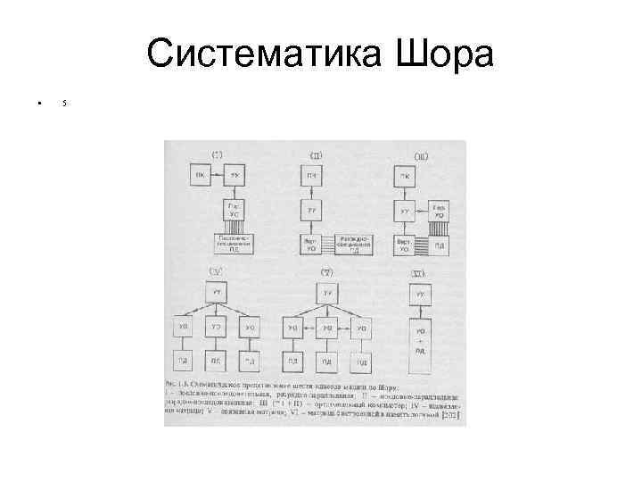   Систематика Шора •  5 
