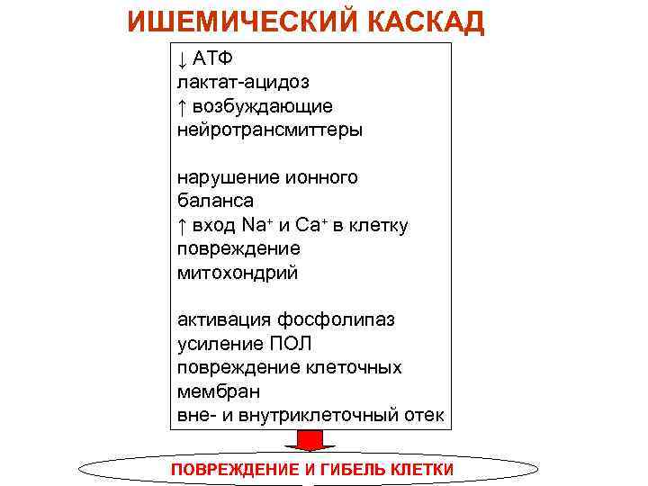 ИШЕМИЧЕСКИЙ КАСКАД  ↓ АТФ  лактат-ацидоз  ↑ возбуждающие  нейротрансмиттеры  нарушение