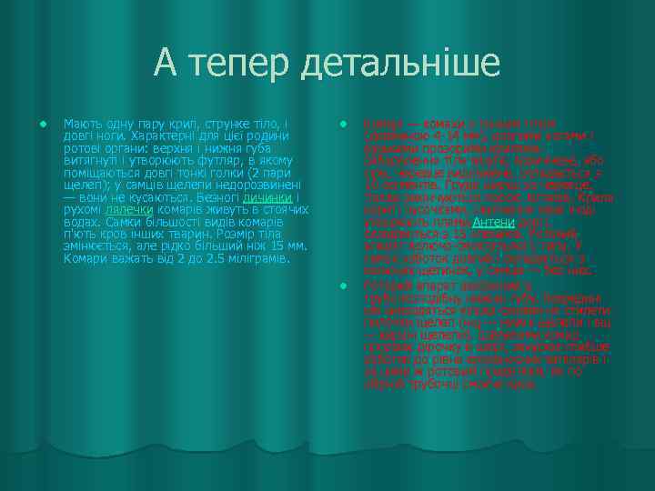    А тепер детальніше l  Мають одну пару крил, струнке тіло,