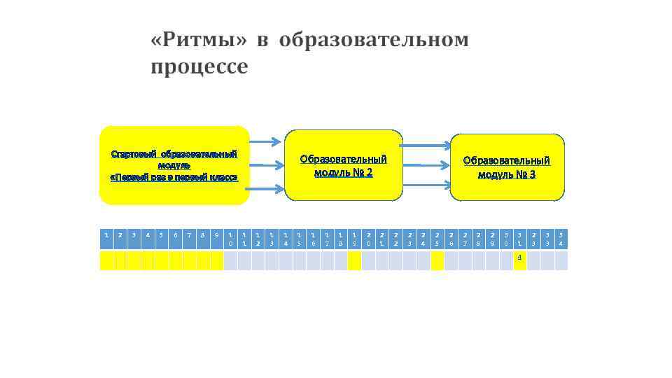 Стартовый образовательный Образовательный модуль «Первый Стартовый образовательный Образовательный модуль «Первый