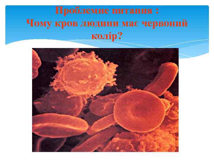  Проблемне питання : Чому кров людини має червоний   колір? 
