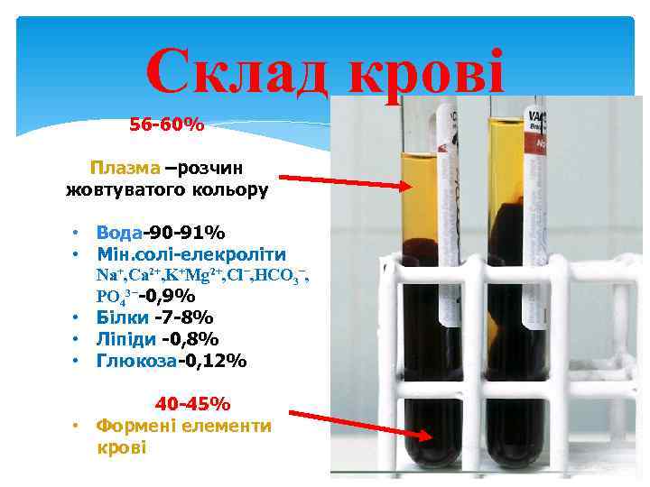   Склад крові 56 -60%  Плазма –розчин жовтуватого кольору  • Вода-90