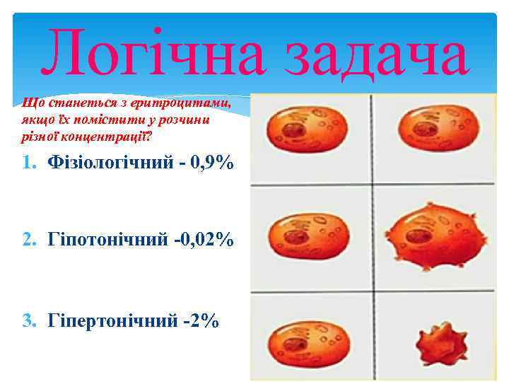  Логічна задача Що станеться з еритроцитами, якщо їх помістити у розчини різної концентрації?
