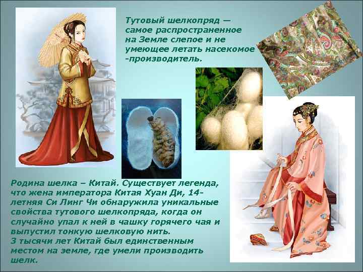     Тутовый шелкопряд —     самое распространенное 