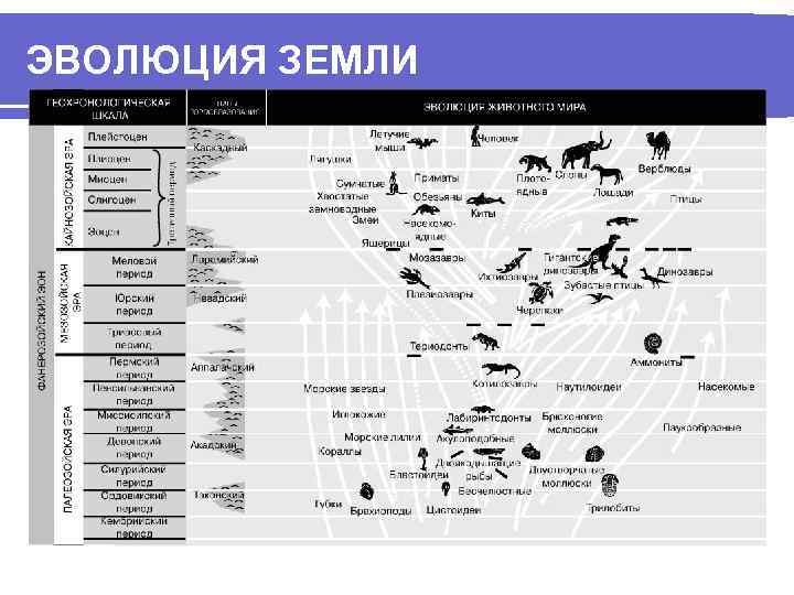 ЭВОЛЮЦИЯ ЗЕМЛИ 