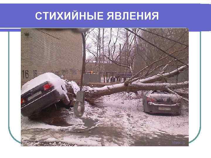 СТИХИЙНЫЕ ЯВЛЕНИЯ 
