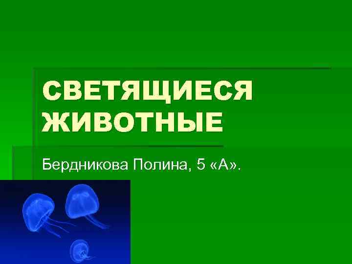 СВЕТЯЩИЕСЯ ЖИВОТНЫЕ Бердникова Полина, 5 «А» . 