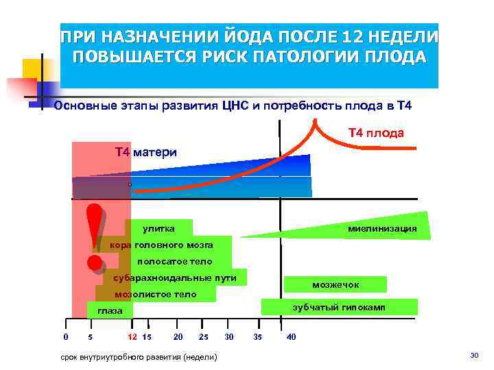 ПРИ НАЗНАЧЕНИИ ЙОДА ПОСЛЕ 12 НЕДЕЛИ ПОВЫШАЕТСЯ РИСК ПАТОЛОГИИ ПЛОДА Основные этапы развития ЦНС