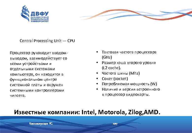   Central Processing Unit — CPU Процессор руководит вводом-   • Тактовая
