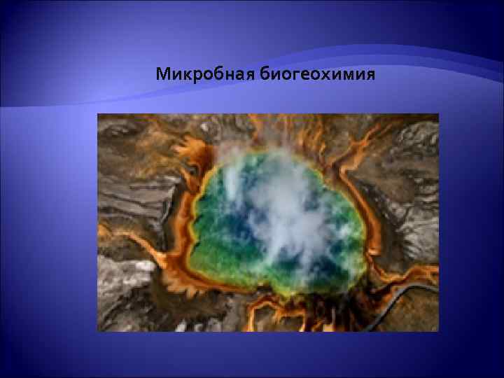 Микробная биогеохимия 