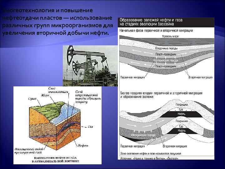 Биогеотехнология и повышение нефтеотдачи пластов — использование различных групп микроорганизмов для увеличения вторичной добычи