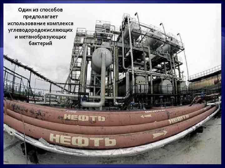   Один из способов  предполагает использование комплекса углеводородокисляющих  и метанобразующих 
