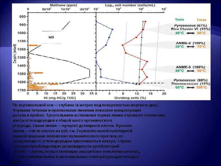 По вертикальной оси — глубина (в метрах под поверхностью морского дна). Черными точками и