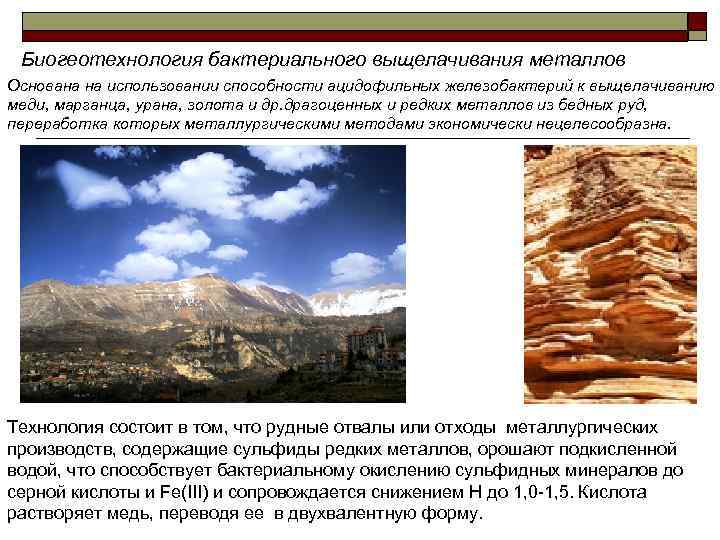  Биогеотехнология бактериального выщелачивания металлов Основана на использовании способности ацидофильных железобактерий к выщелачиванию меди,