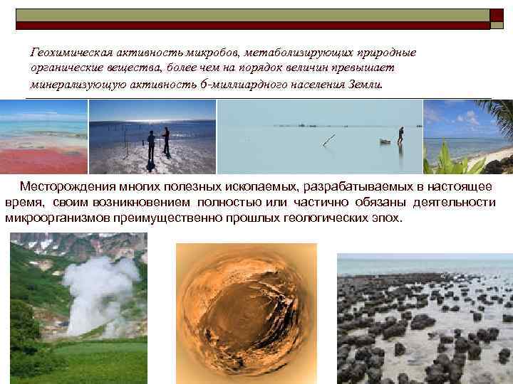   Геохимическая активность микробов, метаболизирующих природные  органические вещества, более чем на порядок