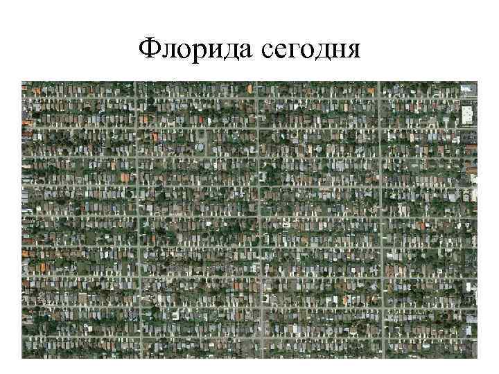 Флорида сегодня 