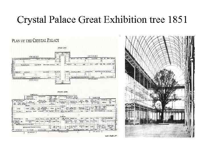 Crystal Palace Great Exhibition tree 1851 