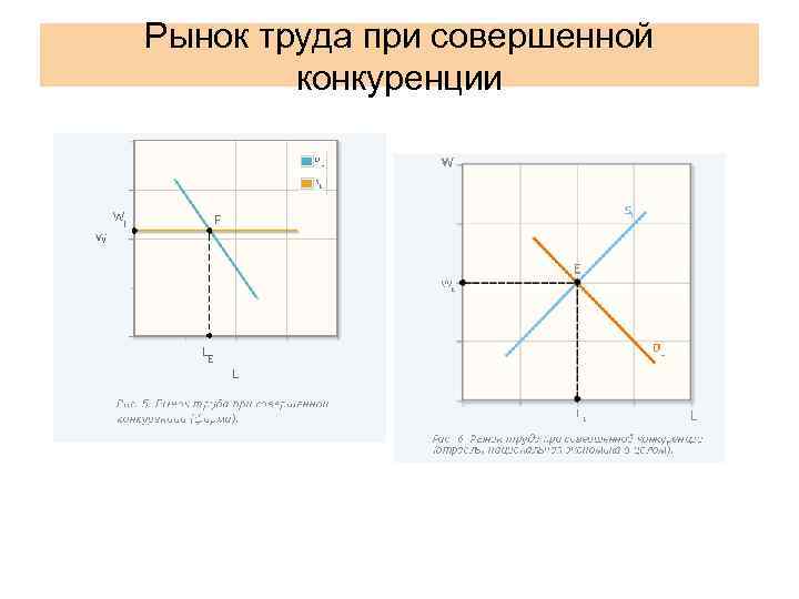 Рынок труда при совершенной   конкуренции 