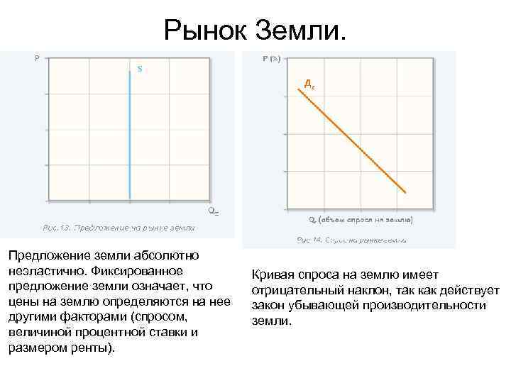      Рынок Земли. Предложение земли абсолютно неэластично. Фиксированное  