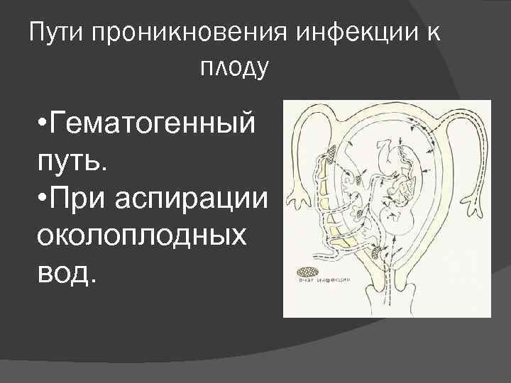 Пути проникновения инфекции к   плоду • Гематогенный путь.  • При аспирации