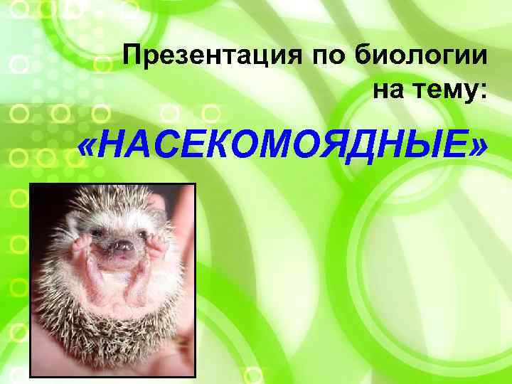  Презентация по биологии   на тему:  «НАСЕКОМОЯДНЫЕ» 