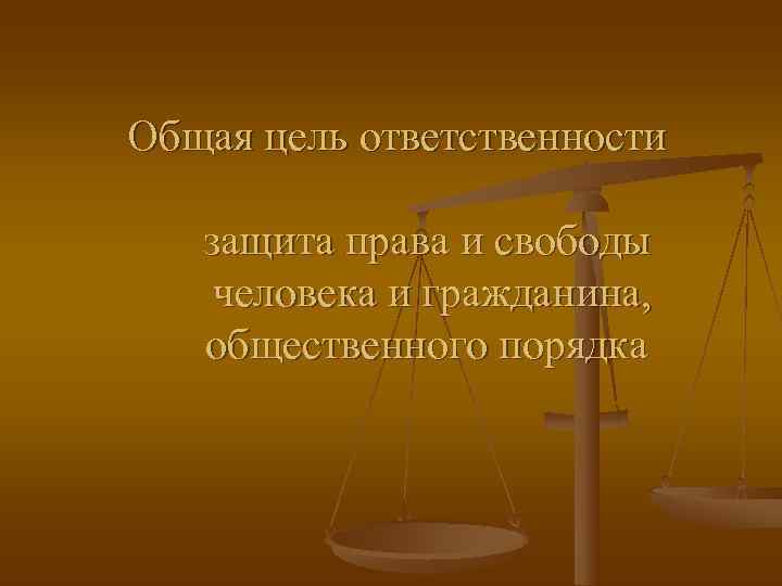 Общая цель ответственности защита права и свободы человека и гражданина, общественного порядка 
