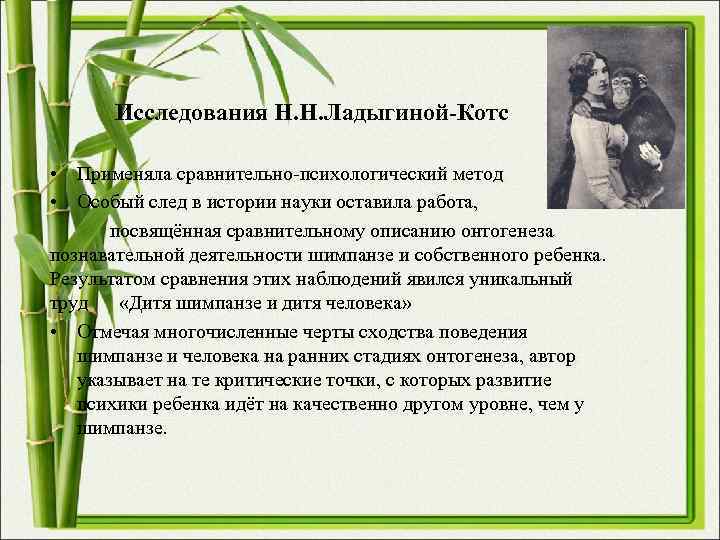 Исследования Н. Н. Ладыгиной-Котс • Применяла сравнительно-психологический метод • Особый след Исследования Н. Н. Ладыгиной-Котс • Применяла сравнительно-психологический метод • Особый след