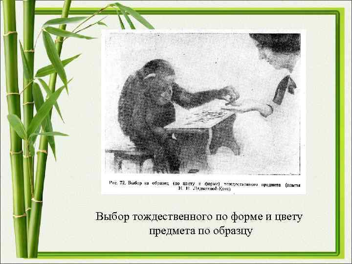 Выбор тождественного по форме и цвету предмета по образцу Выбор тождественного по форме и цвету предмета по образцу