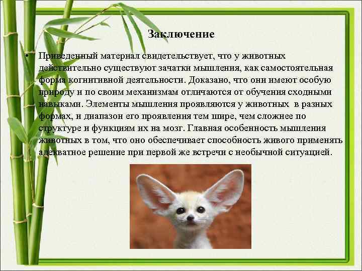 Заключение • Приведенный материал свидетельствует, что у животных Заключение • Приведенный материал свидетельствует, что у животных