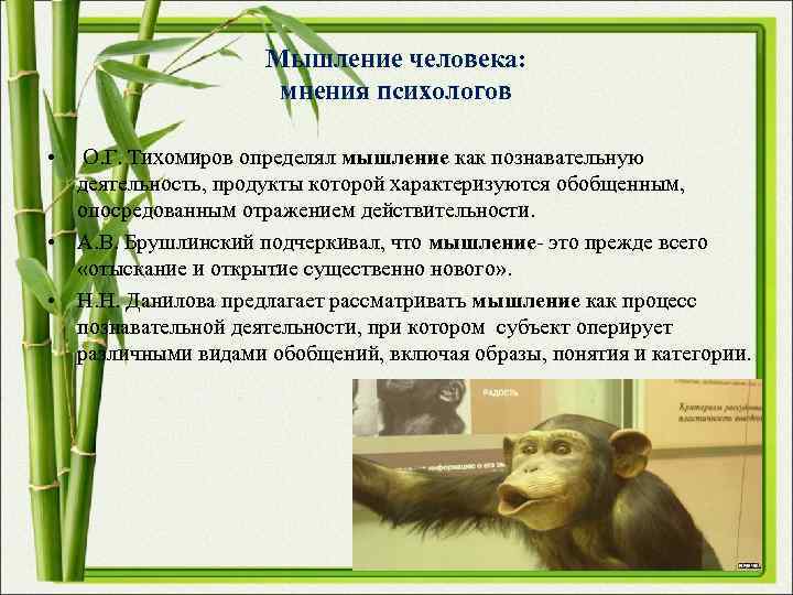 Мышление человека: мнения психологов • Мышление человека: мнения психологов •