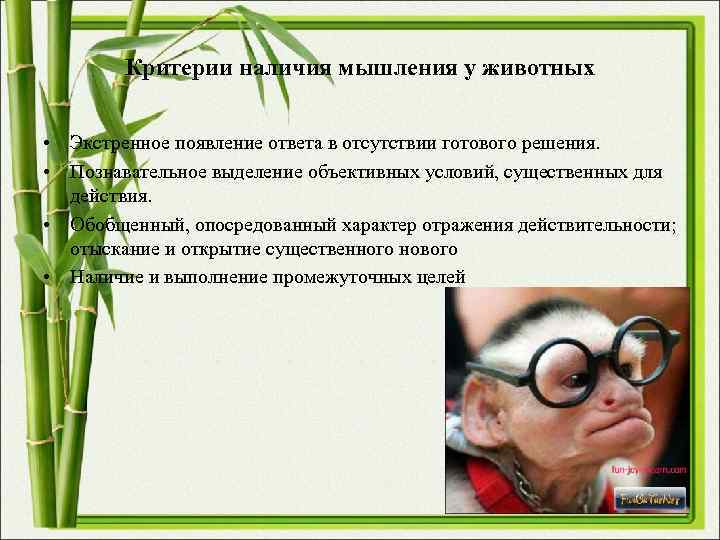 Критерии наличия мышления у животных • Экстренное появление ответа в отсутствии Критерии наличия мышления у животных • Экстренное появление ответа в отсутствии