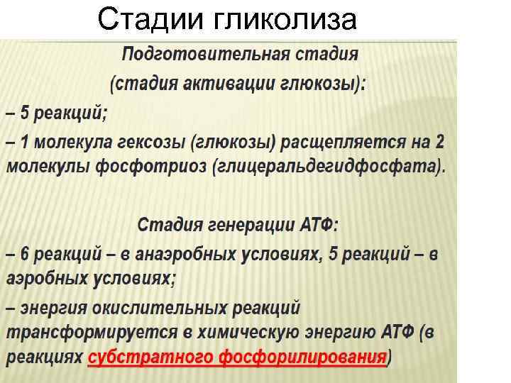 Стадии гликолиза Стадии гликолиза