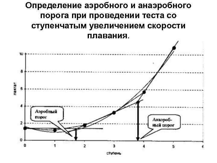 Определение аэробного и анаэробного порога при проведении теста со ступенчатым увеличением скорости Определение аэробного и анаэробного порога при проведении теста со ступенчатым увеличением скорости