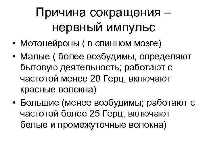 Причина сокращения – нервный импульс • Мотонейроны ( в спинном мозге) Причина сокращения – нервный импульс • Мотонейроны ( в спинном мозге)