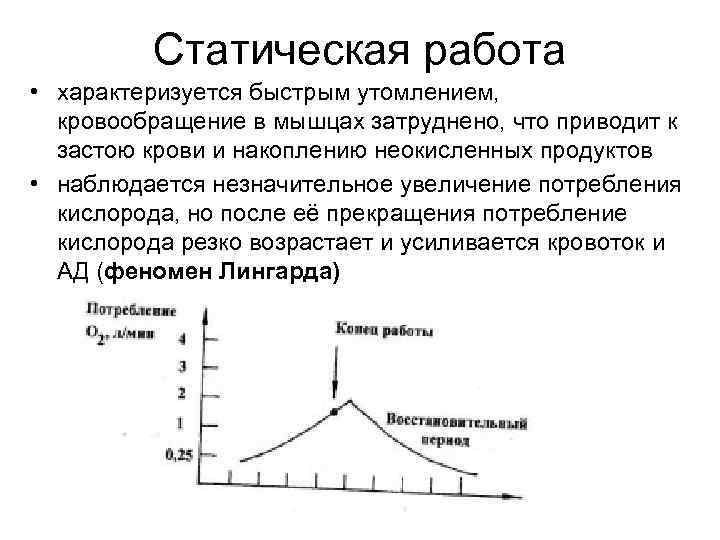 Статическая работа • характеризуется быстрым утомлением, кровообращение в мышцах затруднено, что Статическая работа • характеризуется быстрым утомлением, кровообращение в мышцах затруднено, что