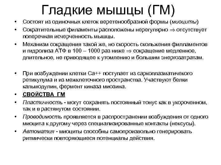 Гладкие мышцы (ГМ) • Состоят из одиночных клеток веретенообразной формы Гладкие мышцы (ГМ) • Состоят из одиночных клеток веретенообразной формы